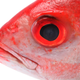 Illustration for article titled Players Duped By Steams Winter Sale ARG Send Valve An Actual Red Herring